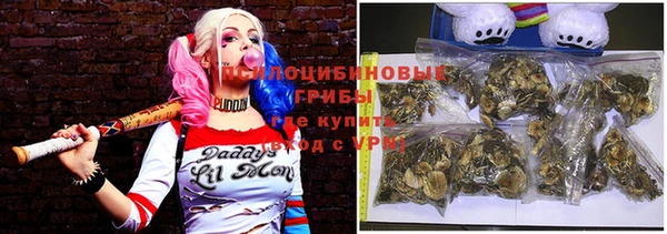 герыч Аркадак
