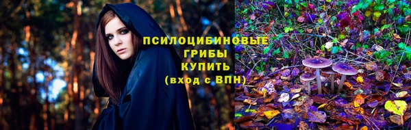 герыч Аркадак